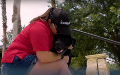 Is the world’s largest military service dog charity raising money on a heartwarming misrepresentation?